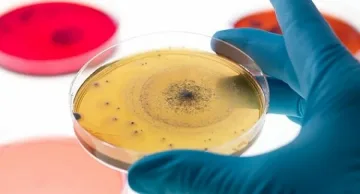 Революция за 150 болни от хепатит С