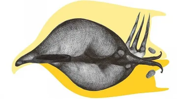Млад творец реди картини, фотографии и инсталации в радио