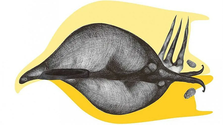 Млад творец реди картини, фотографии и инсталации в радио
