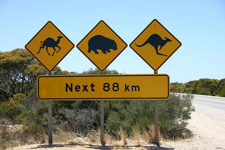 СНИМКИ: Най-странните пътни знаци