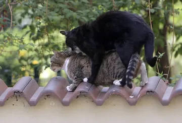 33 градуса за Гергьовден