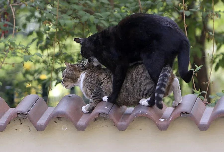 33 градуса за Гергьовден