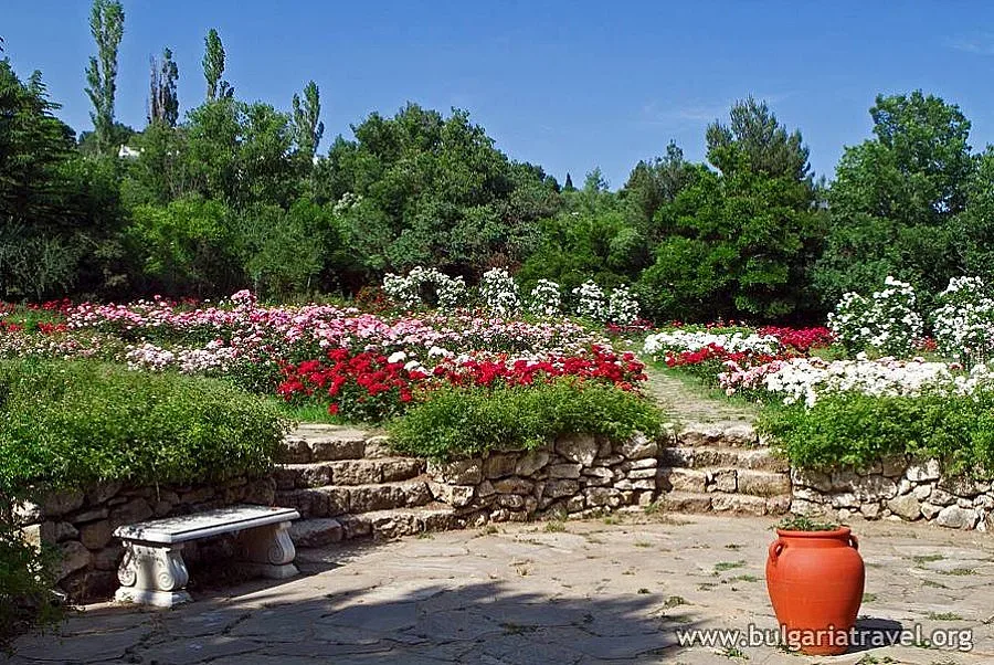 Ректорът на Алма матер забранил празник на БСП в Екопарк – Екопарк –ВарнаВарна