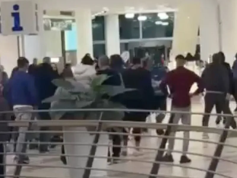 Глутници в мола. Какво отключи агресията?