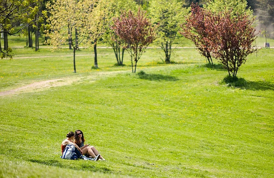 Слънчева неделя 