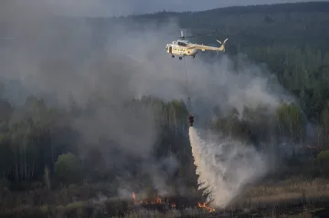 Угасиха напълно пожара край Чернобил
