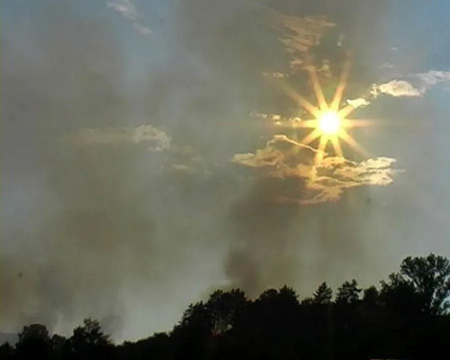 Глобяват пастири и ловци за хвърлени пиратки