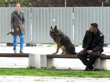 Месецът приключва с разкъсана облачност 