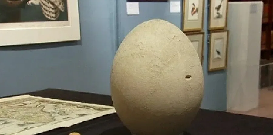 Продават на търг яйце на 400 години