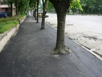 Пълен абсурд: Асфалтират дървета във Видин