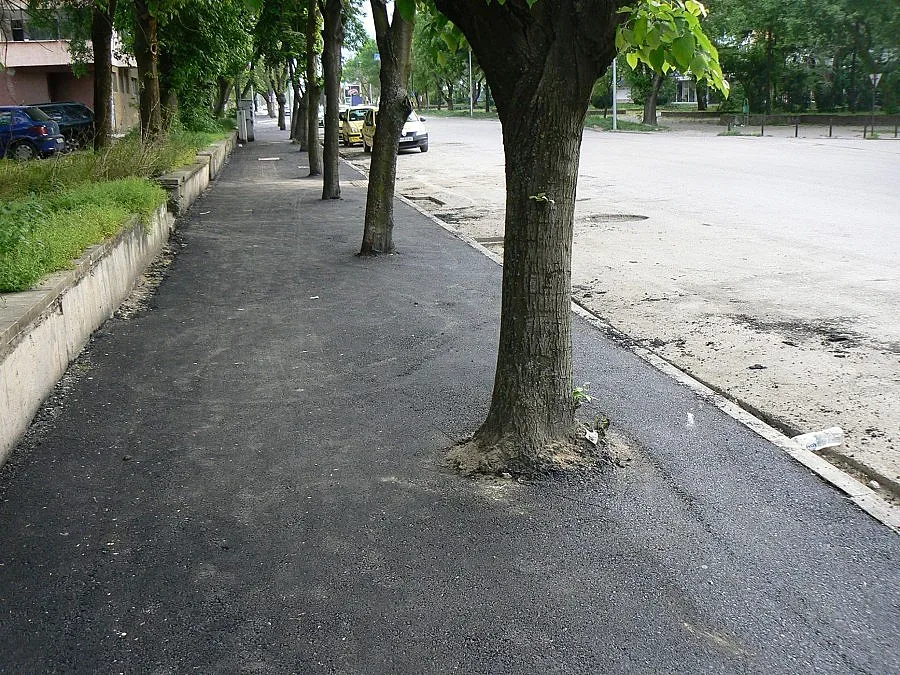 Пълен абсурд: Асфалтират дървета във Видин