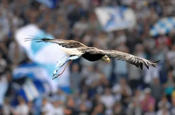 Гарван нападна орела на "Лацио"