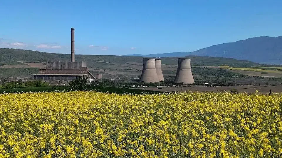 ТЕЦ "Бобов дол" остро осъжда проявата на агресия срещу Даниела Тонева