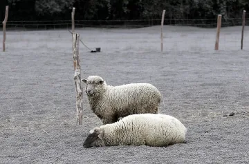 Вулканът в Чили остава нестабилен 