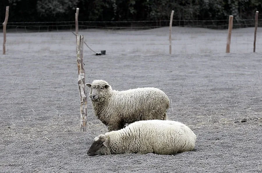 Вулканът в Чили остава нестабилен 