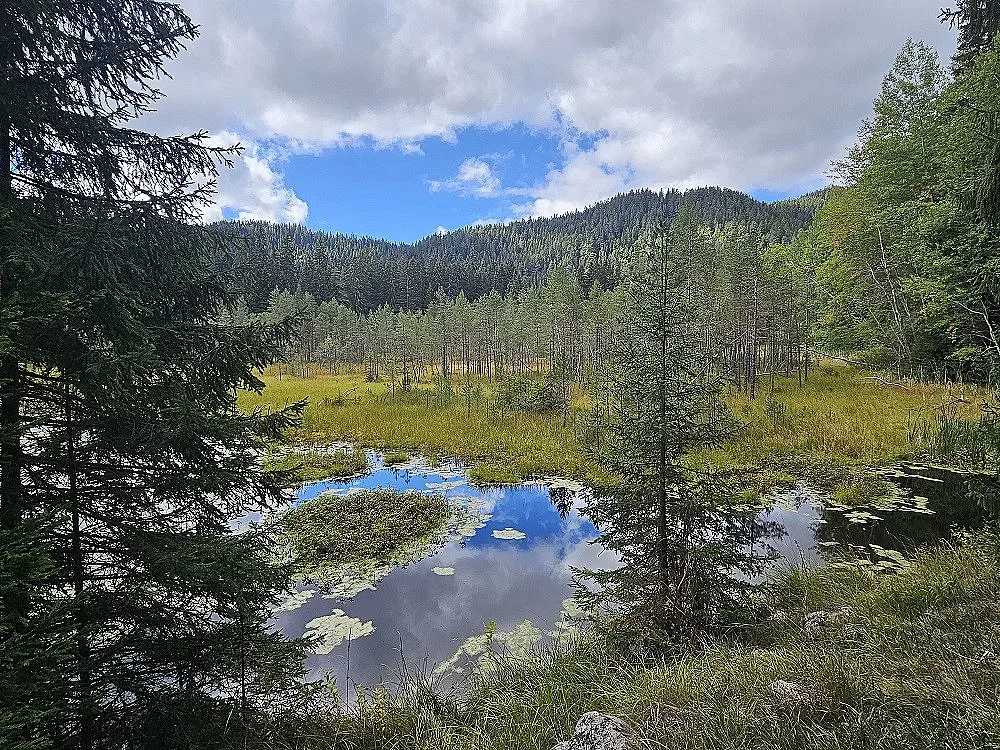 Опазването на торфищата в Чаирските езера е основната мисия на на проекта „Капсули биоразнообразие в Родопите“
