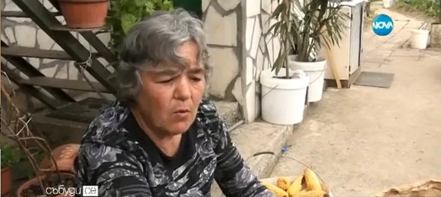 Предизборното преселение започна