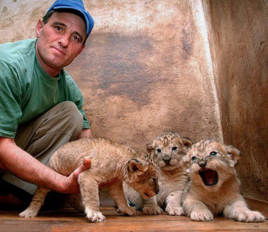 Разградските лъвчета с царски имена