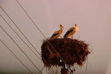 Слънце и облаци в петък