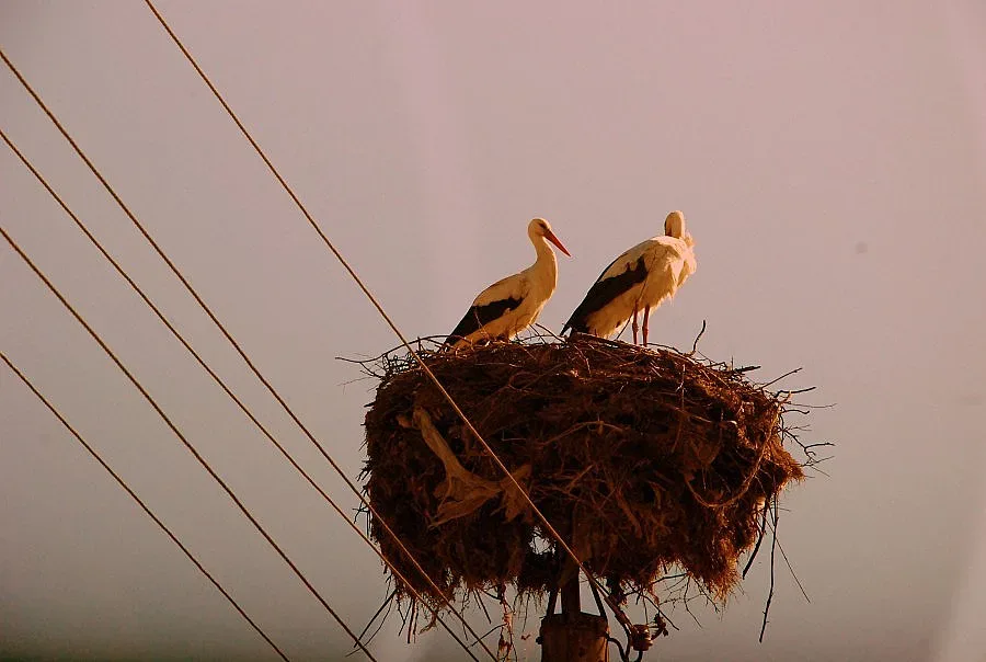 Слънце и облаци в петък