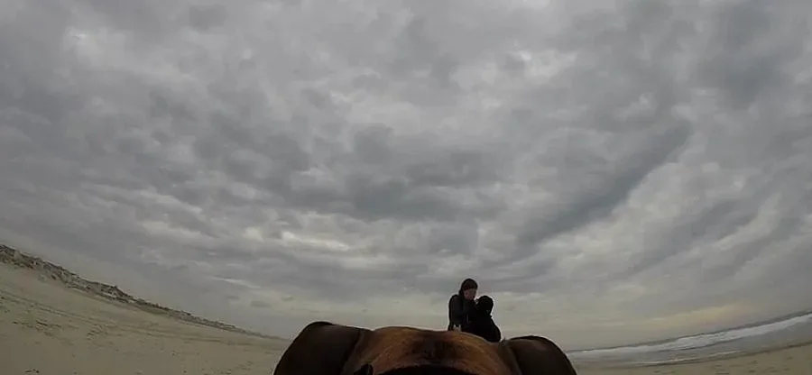 Куче засне предложение за брак на стопанина си (ВИДЕО)