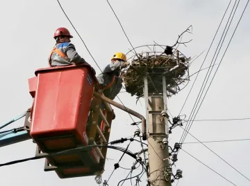 Монаси пропищяха от 800 лева за ток