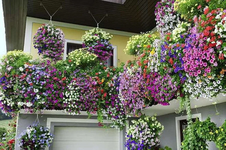 Конкурс за балкони и градини обявиха в Разград