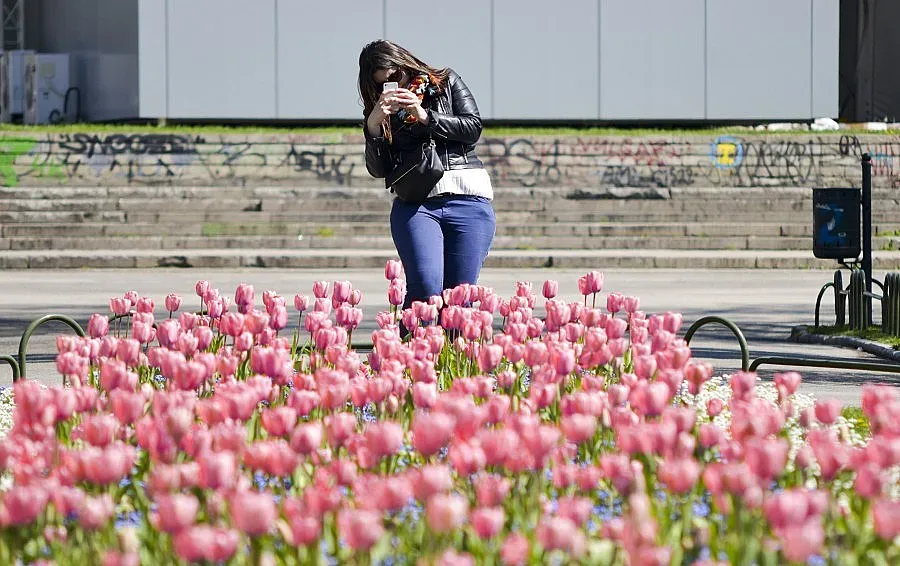 500 000 цветя красят София