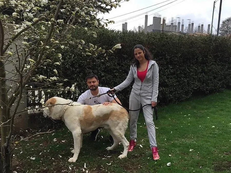 Манията по магнолиите завладя и Бареков (СНИМКИ)