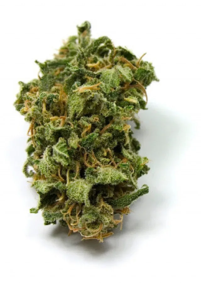 Млади албанци спипани с канабис в Благоевград