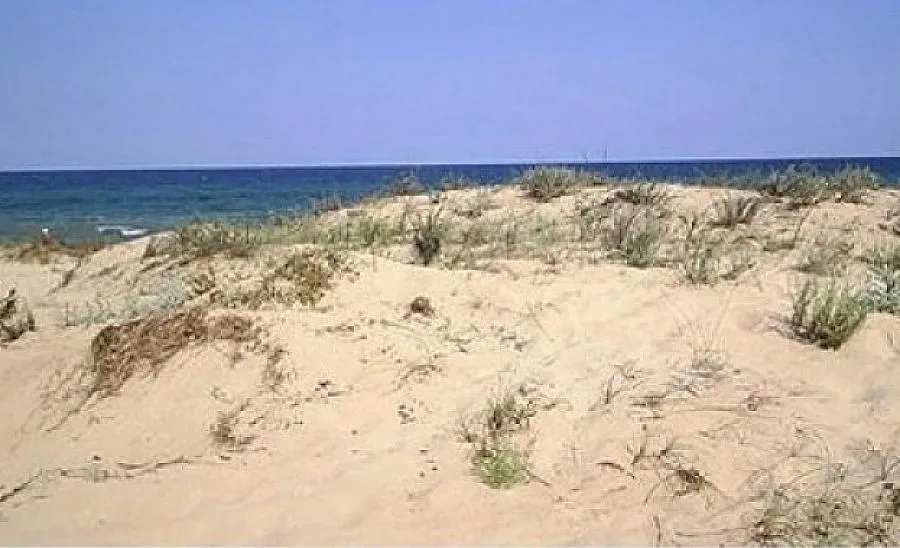 Община Несебър: Никой не заграбва дюните, само променяме ПУП-а