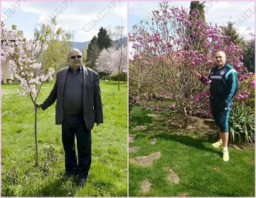 Божо си мери вишните с магнолиите на Бойко