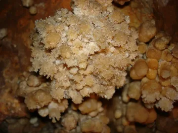 Отварят красивата пещера „Венеца" за посещения