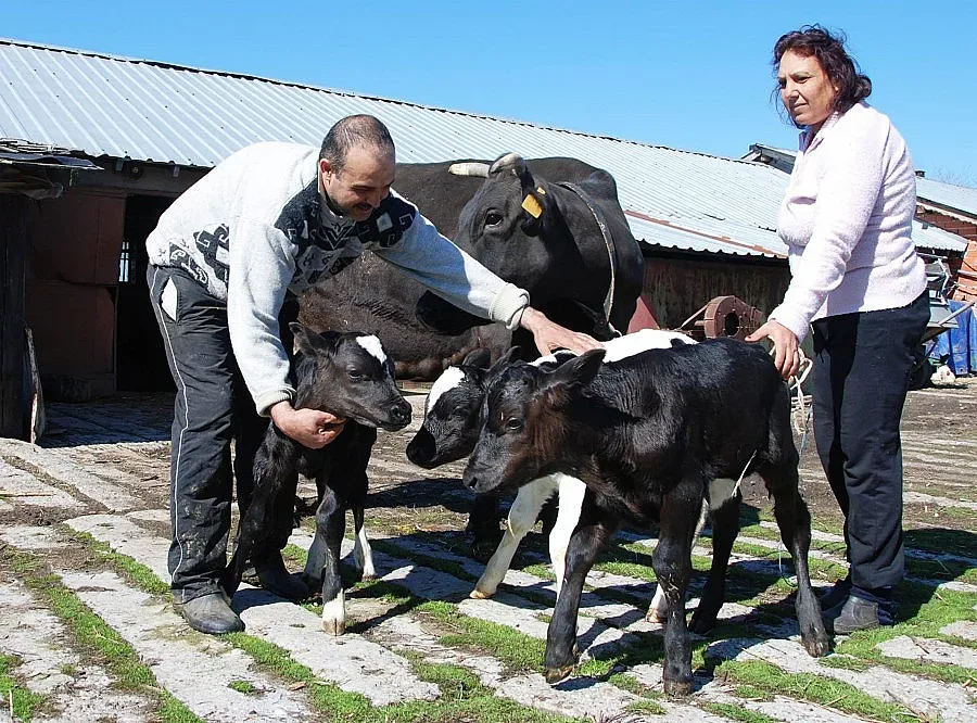Млекари: 100 млн. лв. ще ни спасят от фалит