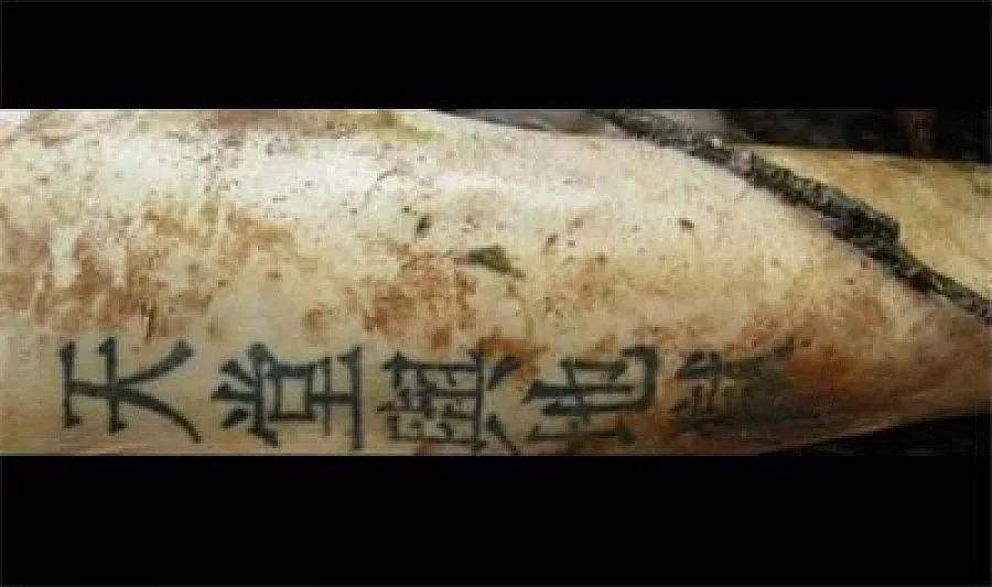 Полицията в Шумен търси помощ за намерено тяло