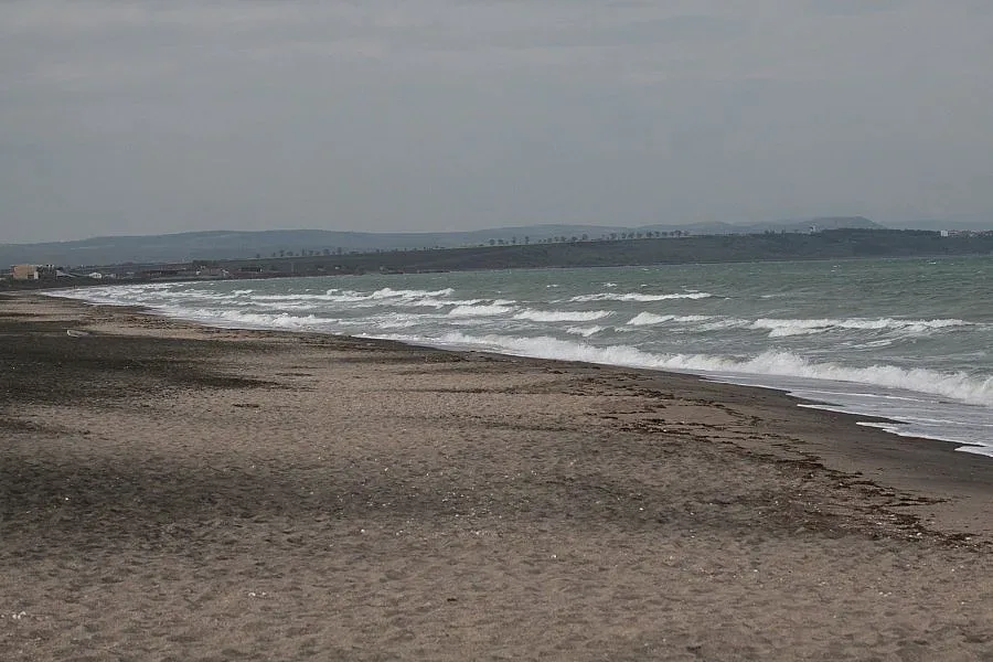 Делфин и Корал ще са екоплажове (ОБЗОР)