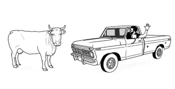 Из странните закони по света: Спри, идва кит!