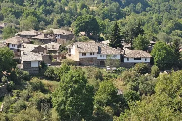 Съд за 8 пияни шофьори в Пиринско