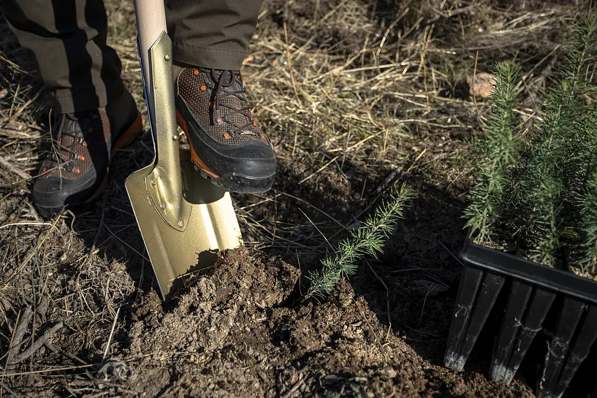 Златната лопата на инициативата „SOS Залесяване“ пристигна в Твърдица, директно от Стамболово