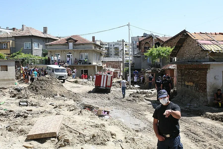 Изсичат гората над "Аспарухово"