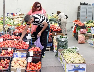 Внасят бракувани домати и краставици