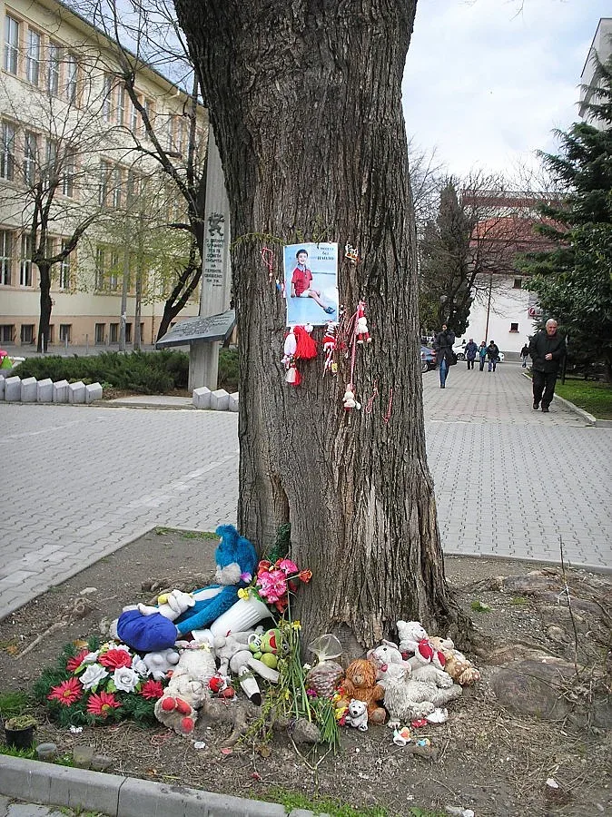 С чужда пита майчин помен