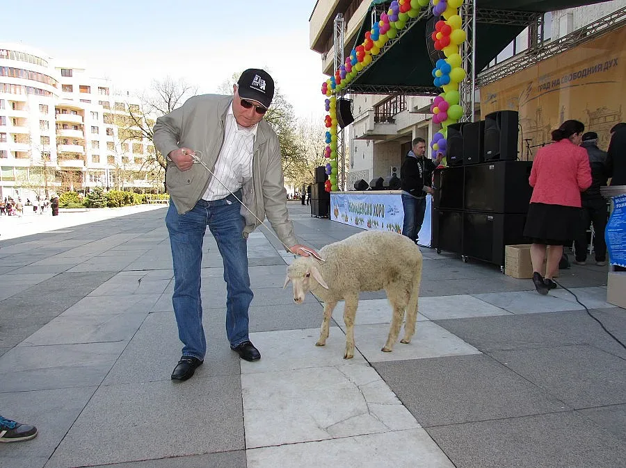 Русенски пенсионер спечели агне от томбола
