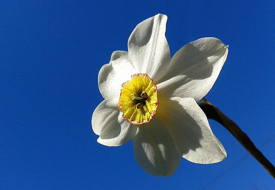 Слънчев Великден