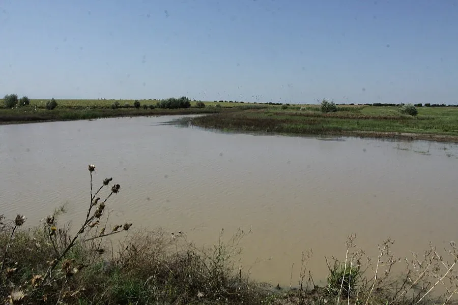 Европа ни помага с 4 млн. лв. за наводненията