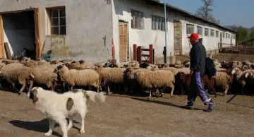 Животновъди на протест на границата с Турция