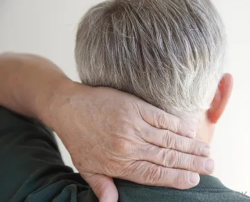 Шипове мъчели още фараоните