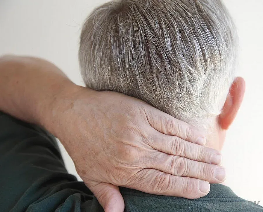 Шипове мъчели още фараоните