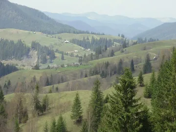 Пускат тел. 112 за горите