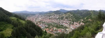 Частично бедствено положение в община Неделино